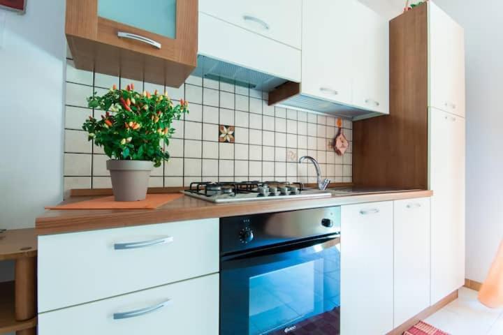 Casa Dante Apartment Castellammare del Golfo Exterior photo